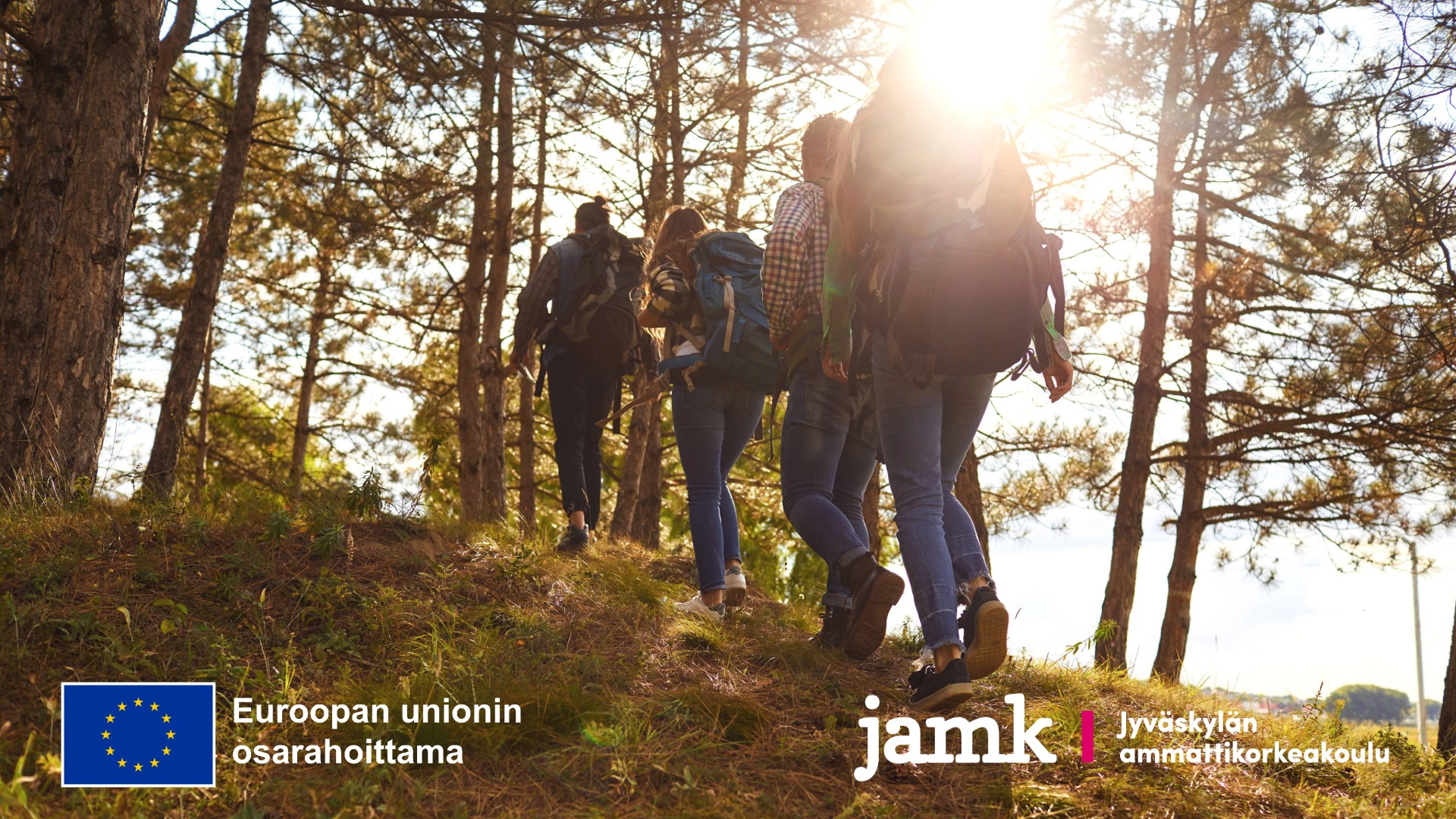 Joukko ihmisiä kävelee rinteessä polulla metsässä ja aurinko paistaa puiden takaa.