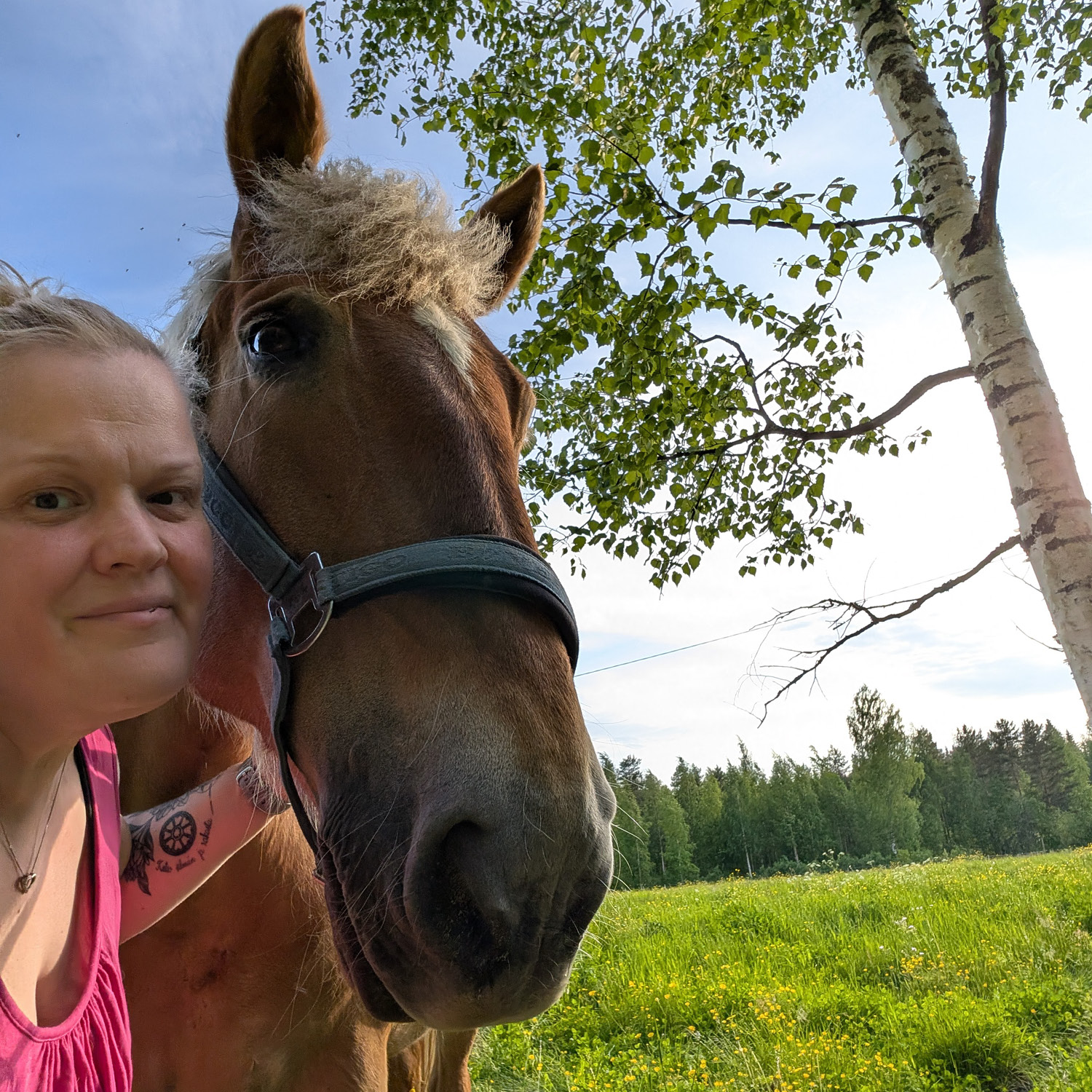 ALaBio referenssitarina Lampaamo kuva Annariikka Linna