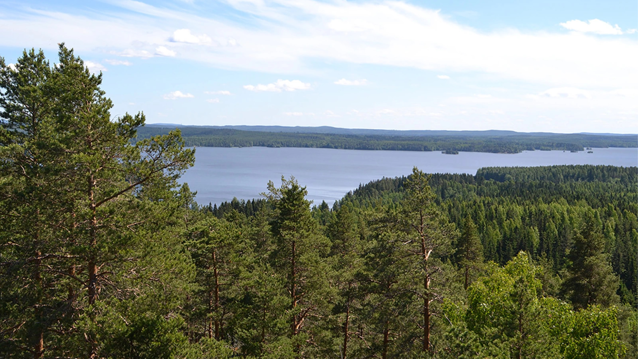 Metsää ja järveä