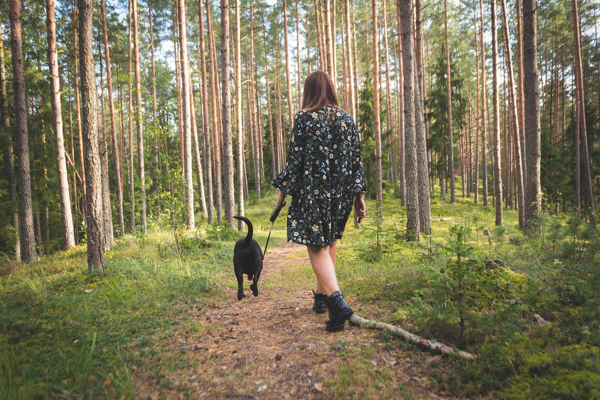 Henkilö koiran kanssa kävelemässä metsässä.