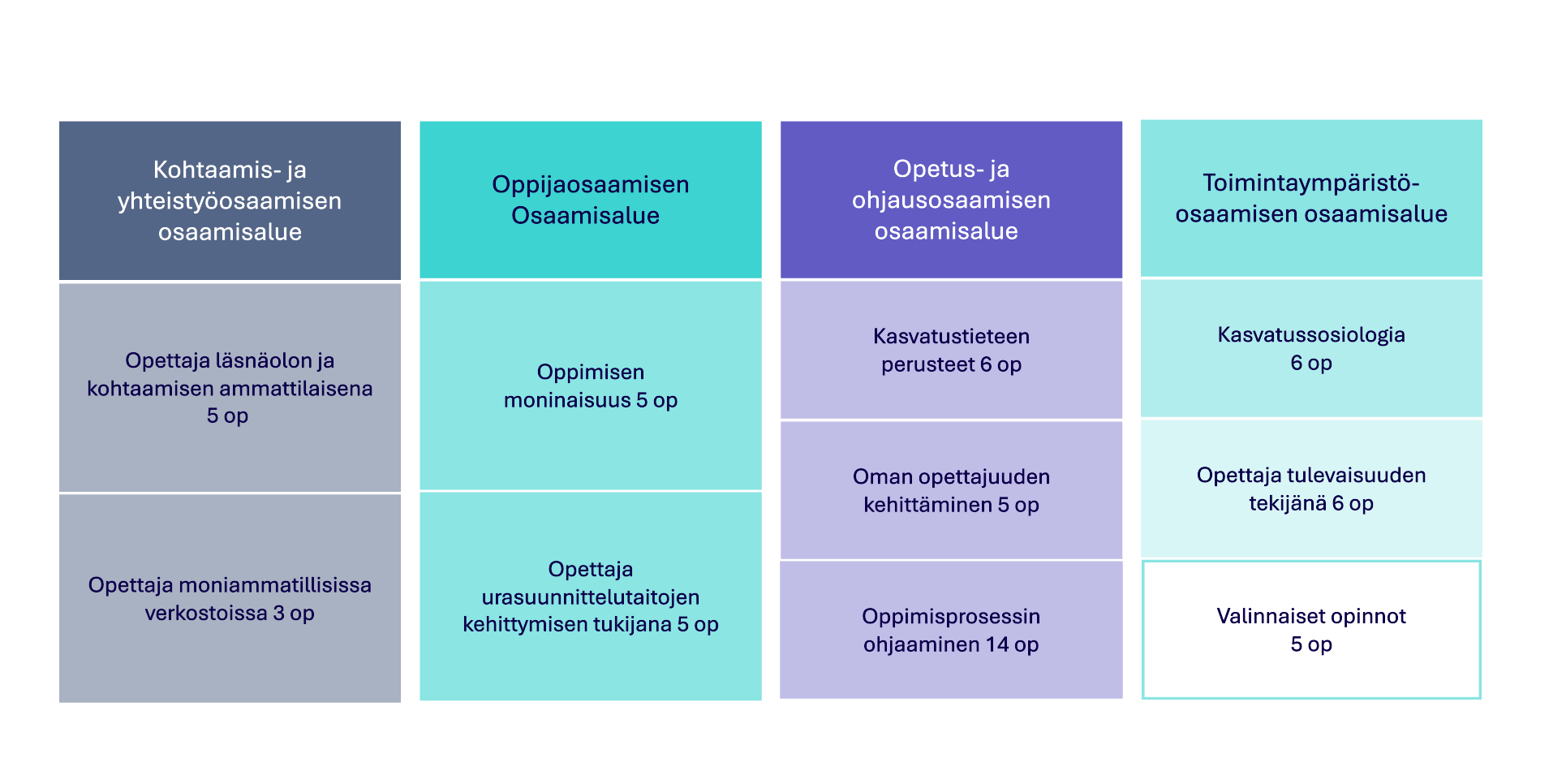 Opettajan osaamisalueet