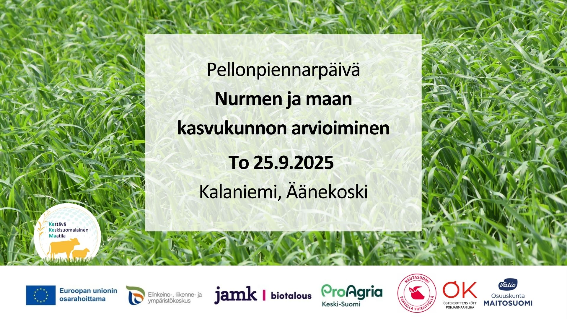 tapahtumakuva koristeellinen
