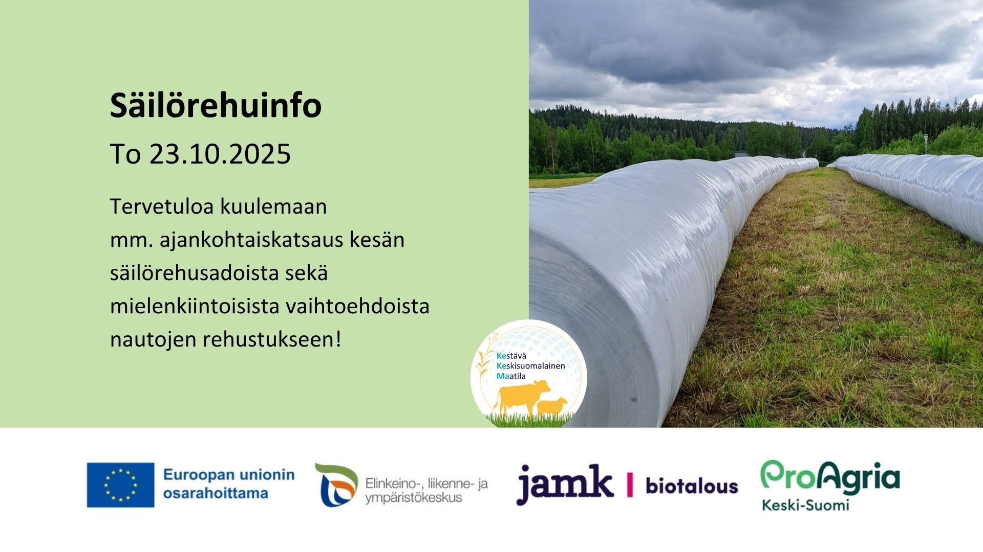 tapahtumakuva koristeellinen
