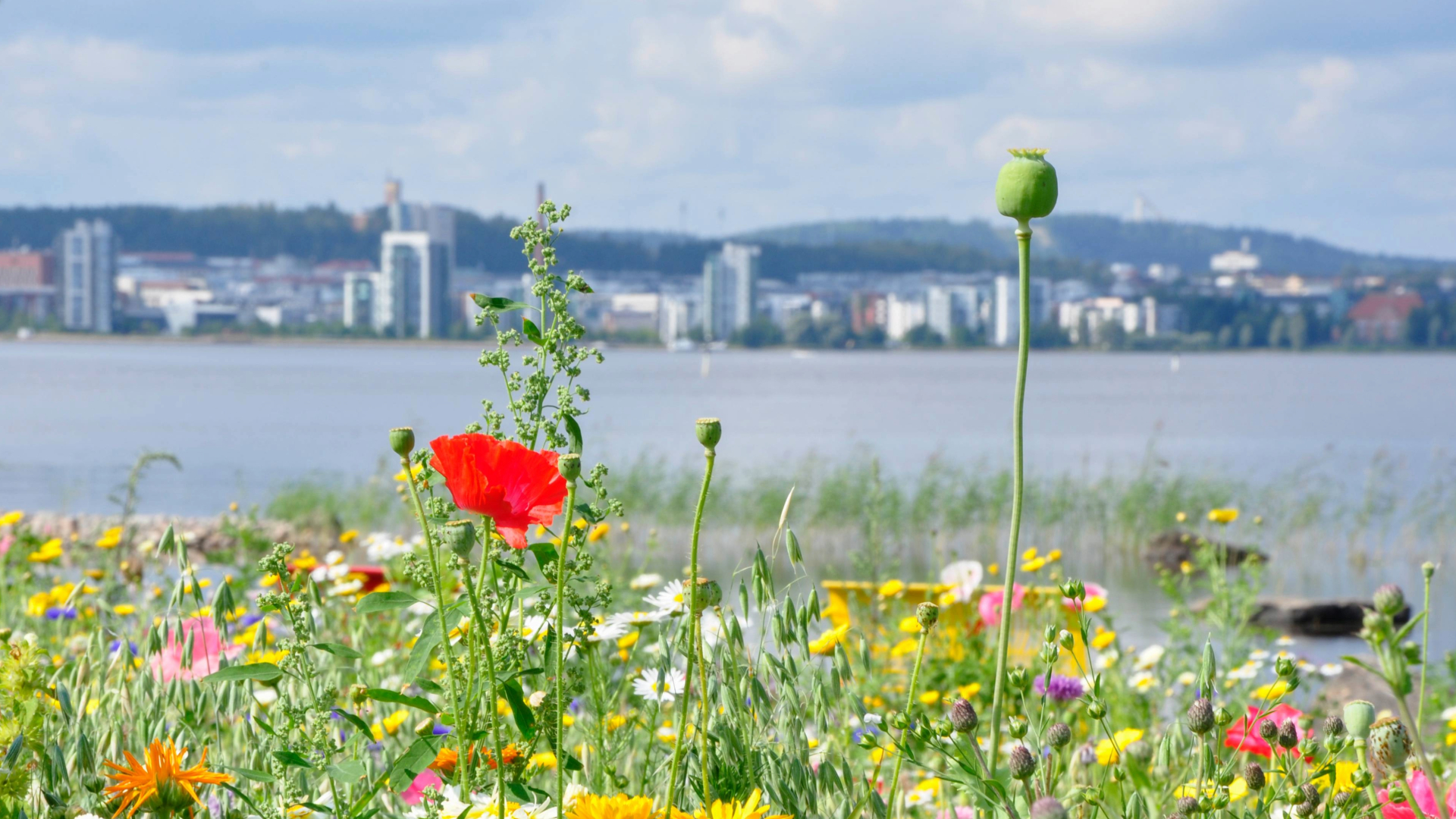 Lakeview from Jyväskylä with flowers in front.