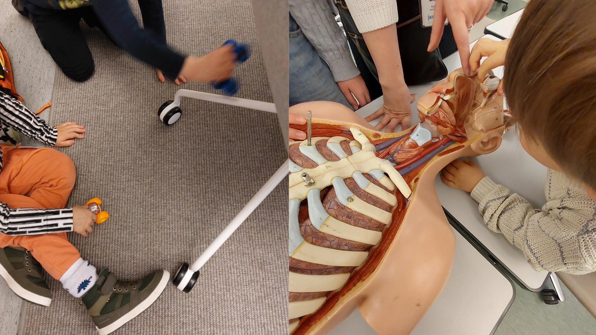 Kuvakollaasi lapset ajavat autoilla ja kokoavat anatomia-torsoa.
