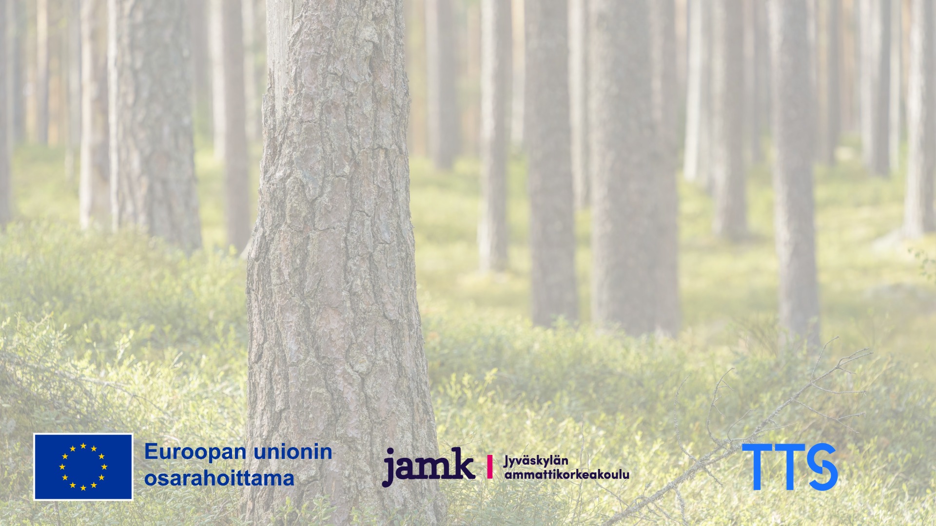 Mäntymetsää ja kuvassa Euroopan osarahoittama, Jamkin ja Työtehoseuran logot.