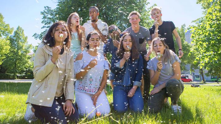 Students blowing dandelion seeds