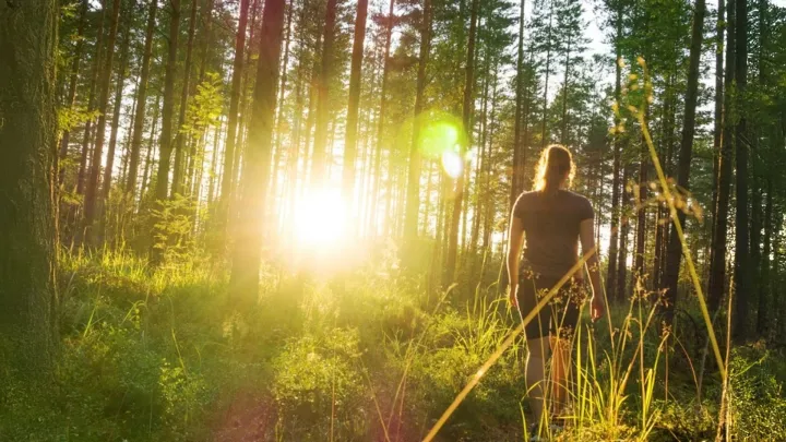 Henkilö kävelee metsässä.