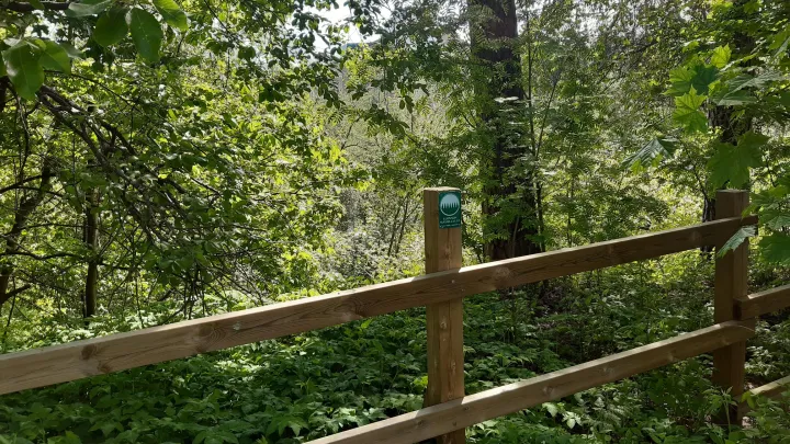 Kuva Tourujoen luontopolusta