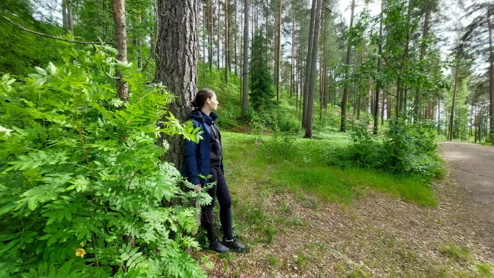 Henkilö nojaa puuhun metsässä.